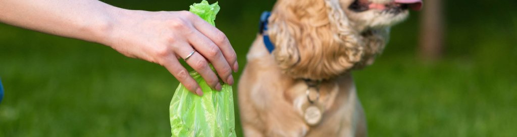 Dog Accessories - Hill and Dale Outdoors