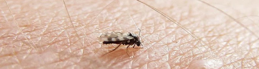 Insect Repellents & Protection - Hill and Dale Outdoors