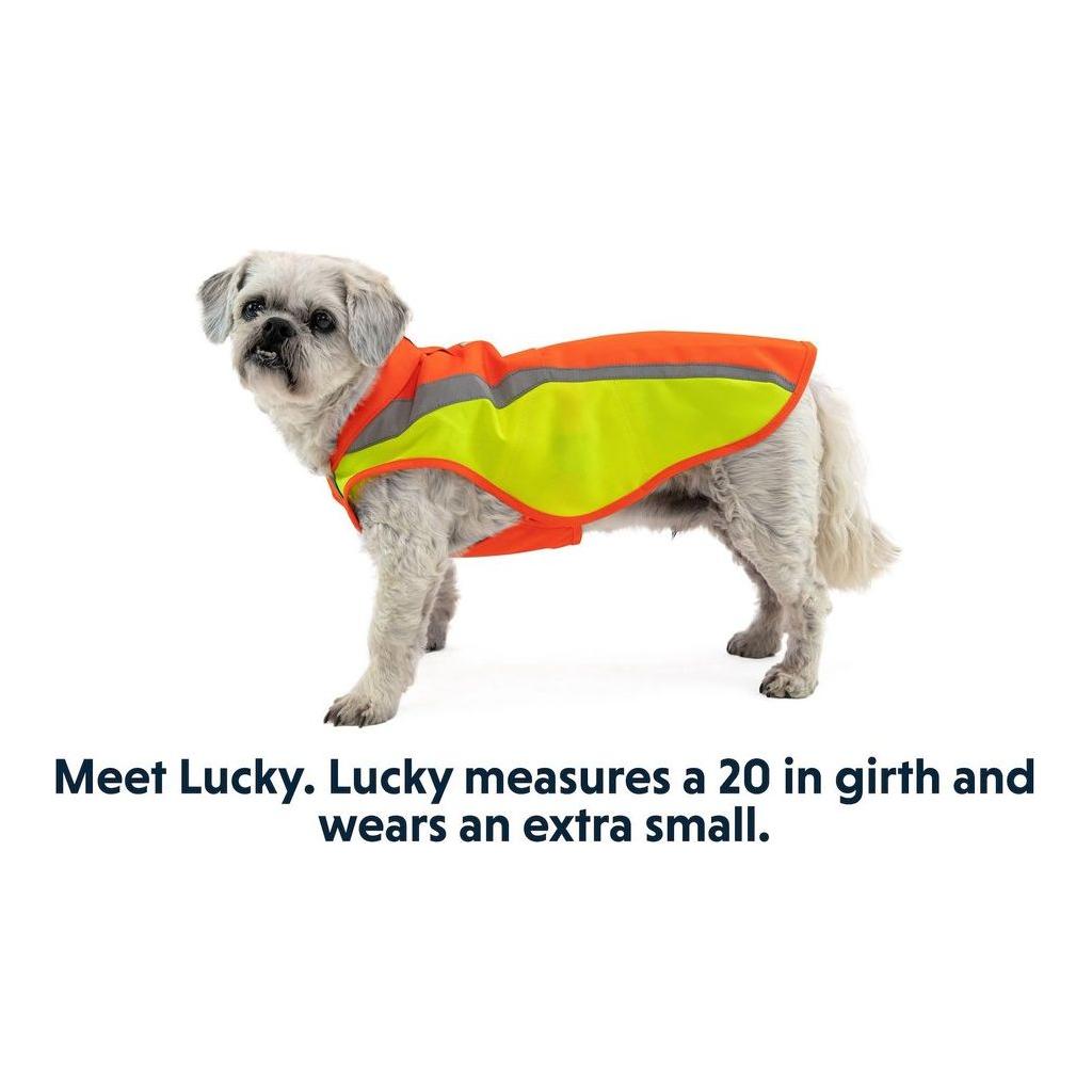 Ruffwear Lumenglow High - Vis Dog Jacket - Blaze Orange - Hill and Dale Outdoors
